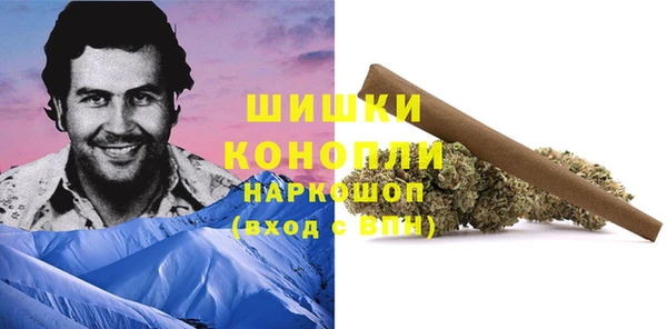 стафф Каменка