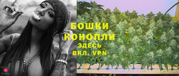 стафф Каменка