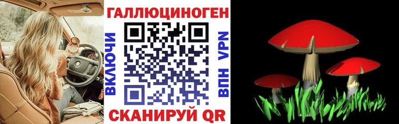 Купить  Нерчинск  Псилоцибиновые грибы Magic Shrooms 